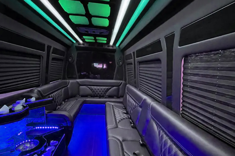 12 passenger vans