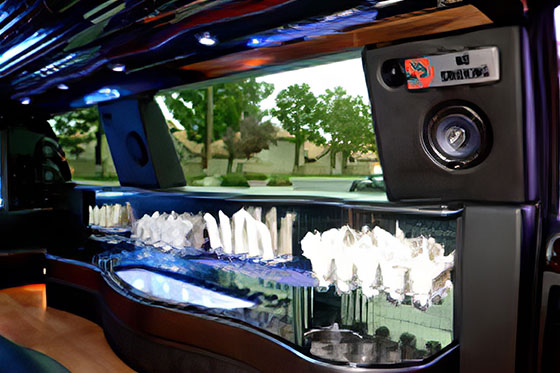 orange county limousine service interior