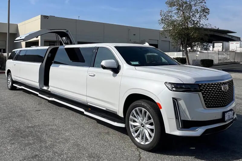 18 passenger anaheim limousine
