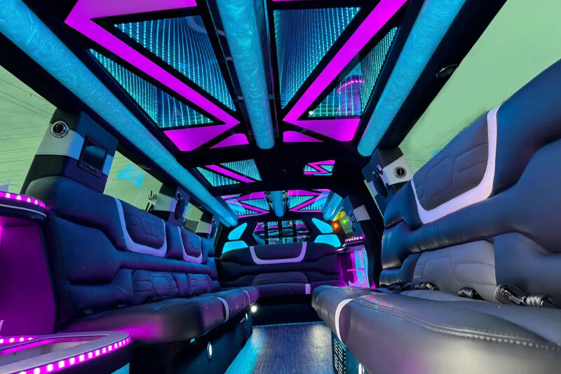 anaheim limo service interior